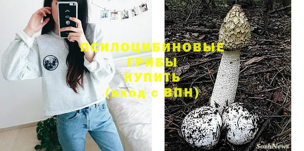 молекула духа Краснослободск