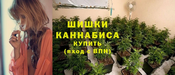 мдпв Костерёво