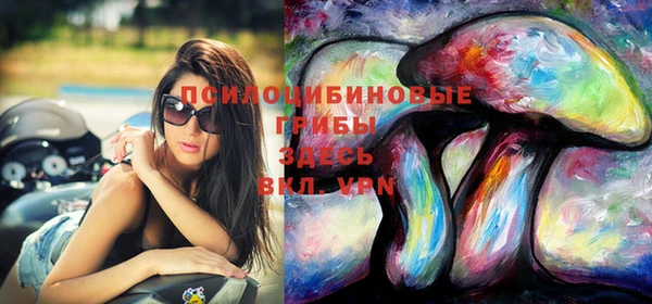 мдпв Костерёво