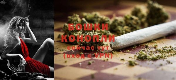 мдпв Костерёво