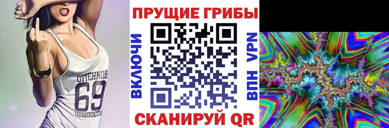 купить   Елизаветинская  Галлюциногенные грибы ЛСД 