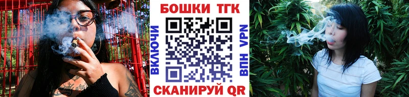 Бошки Шишки планчик  Елизаветинская 